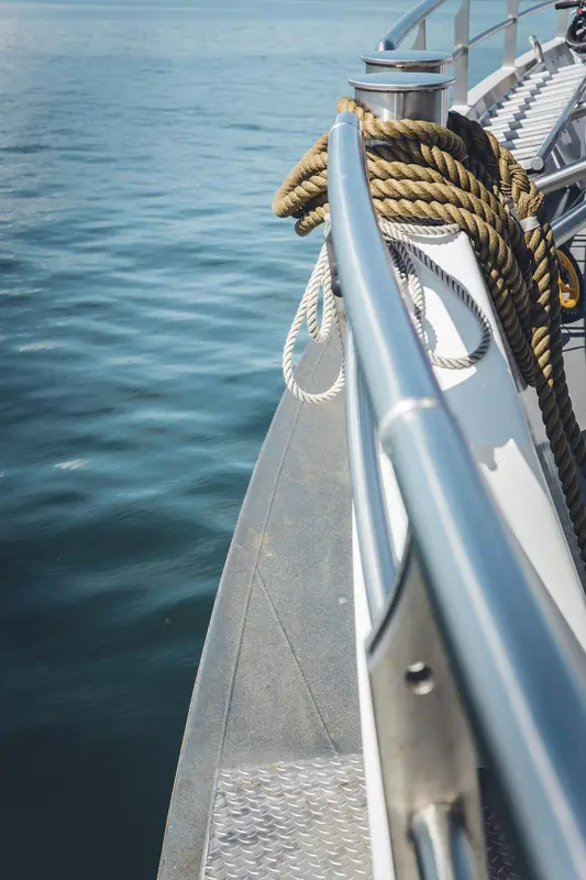 Harpoon.Boats Premium Domain